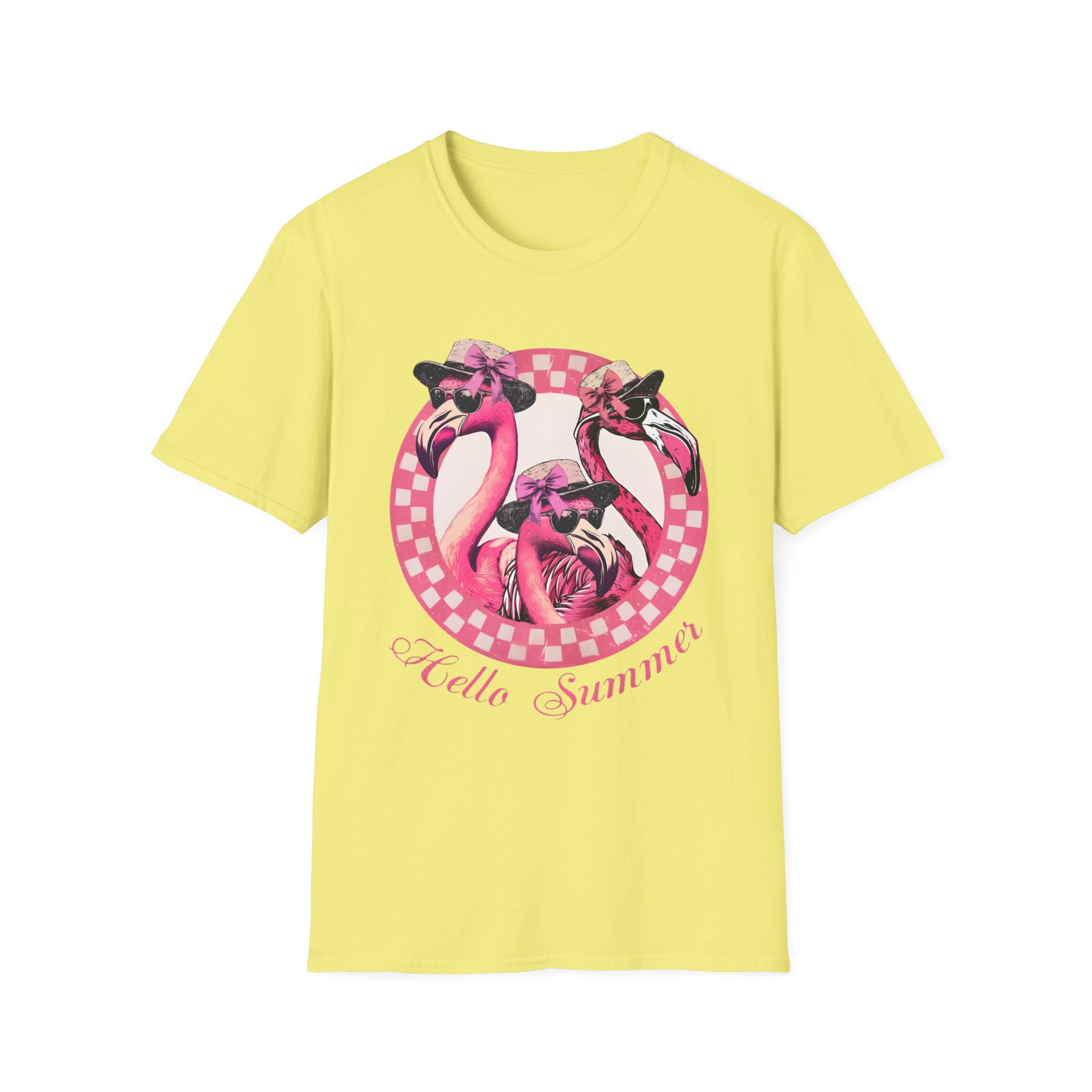 Vintage Pink Flamingo Hello Summer Graphic Tee